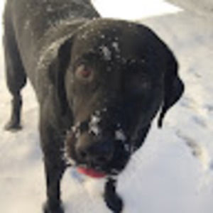 Meet your Posher, Katelyn